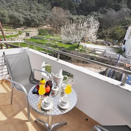 Green View Apartments Limenas  Room photo